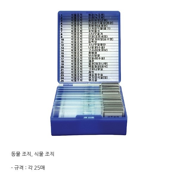동&식물 조직 영구프레파라트 (MRS64005)_상세페이지