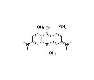 1%-Methylene blue solution_상세페이지
