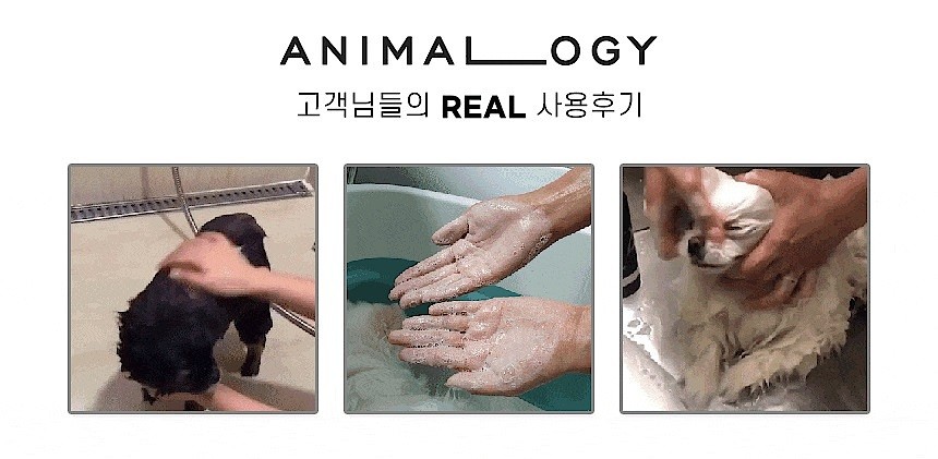 강아지 샴푸 (펫 디오더라이징 버블)_상세페이지
