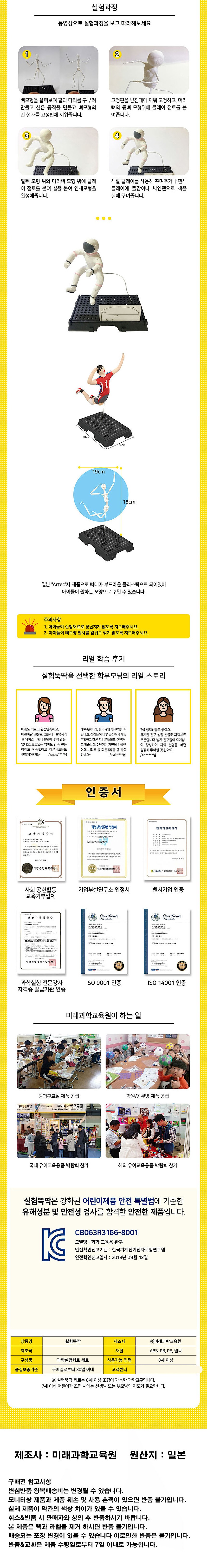 척추동물모형 만들기_상세페이지