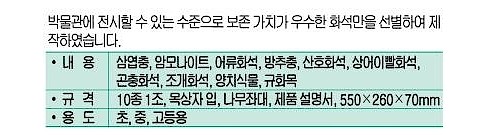 화석표본 III (MRS2873)_상세페이지