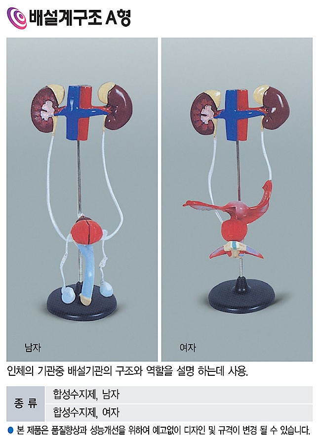 배설계 구조 A형 (KSIC-6252)_상세페이지