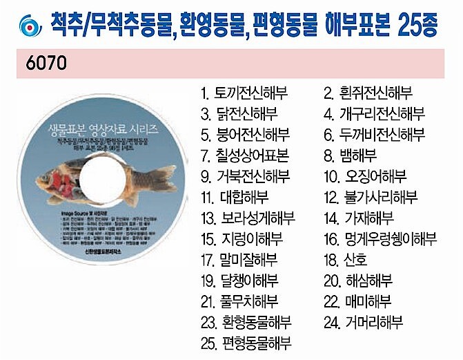 척추&무척추&환영&편형 동물 해부 표본 25종 CD (KSIC-6070)_상세페이지