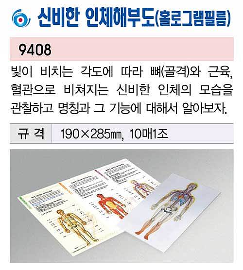 신비한 인체해부도 (홀로그램필름/KSIC-9408)_상세페이지