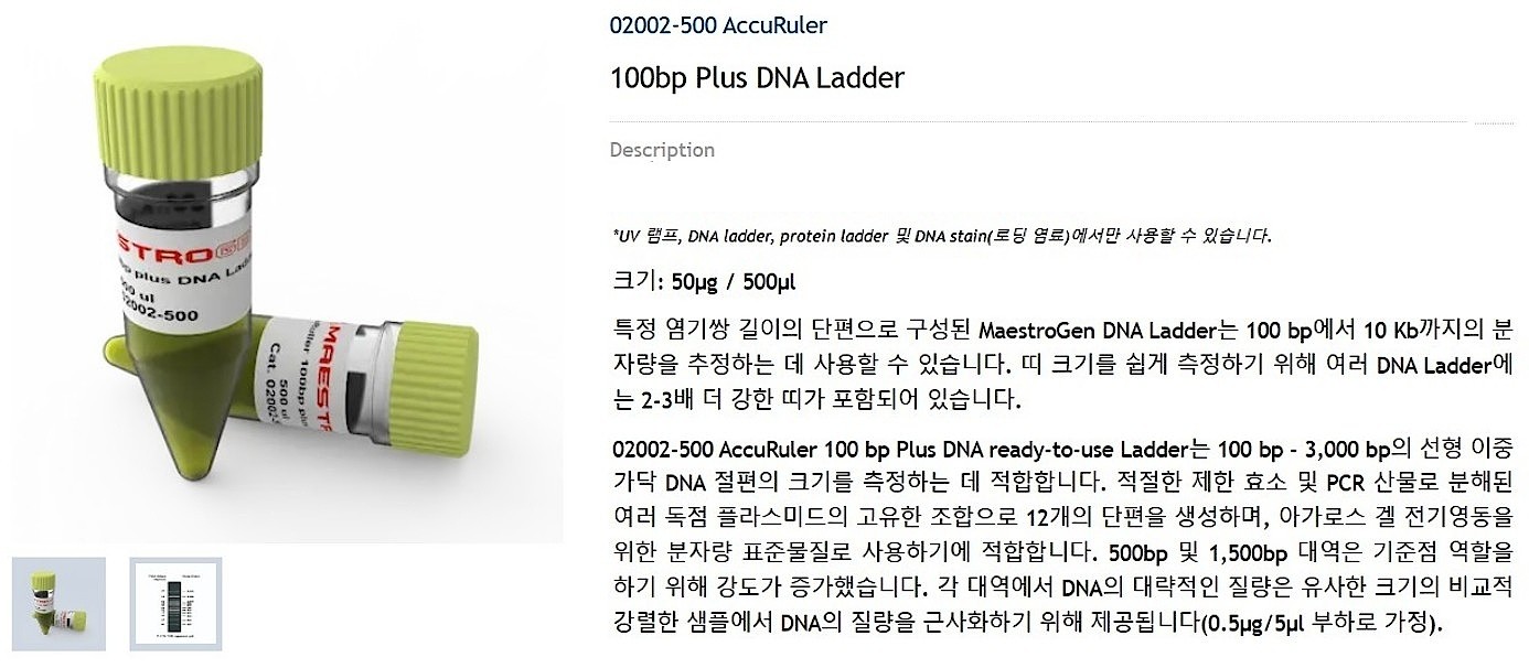 AccuRuler 100bp Plus DNA 레더_상세페이지
