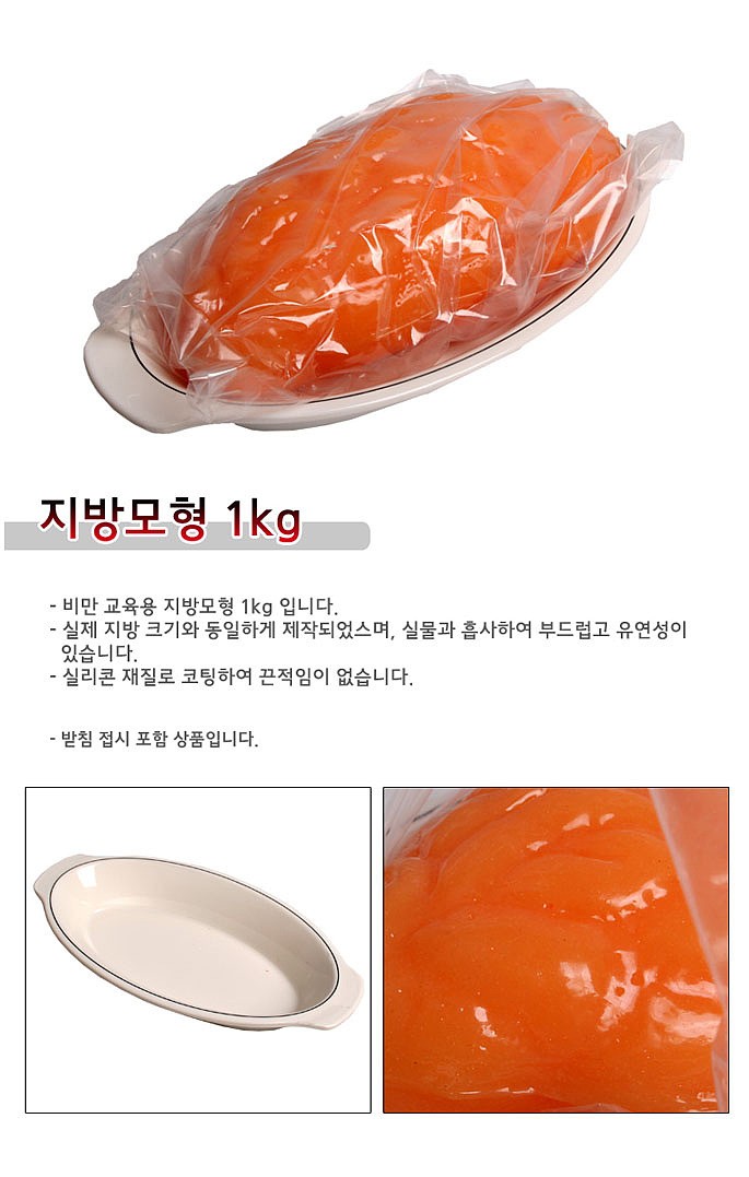 지방모형_상세페이지