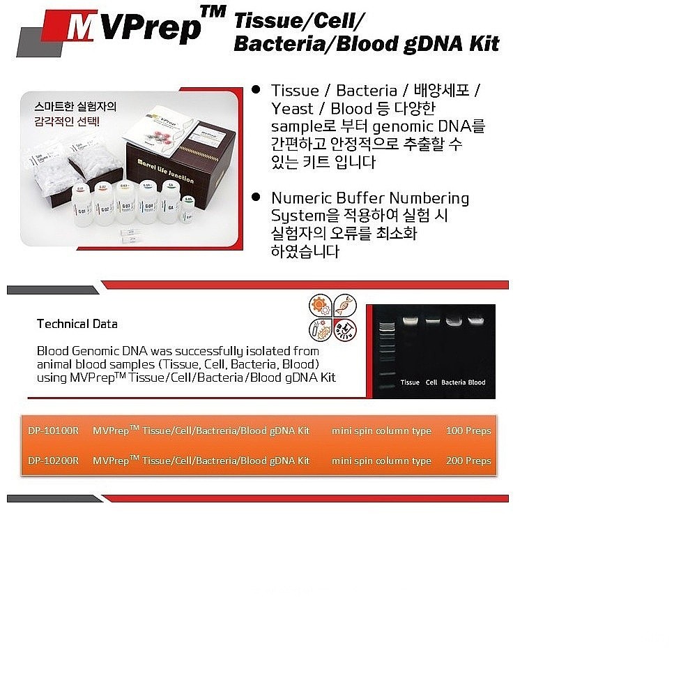 MVPrep Tissue/Cell/Bactreria/Blood gDNA Kit_상세페이지