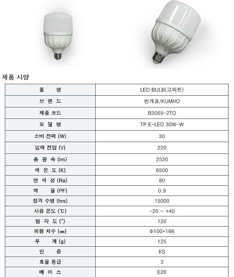 LED 고와트 벌브 전구식램프 (30W, E26)_상세페이지