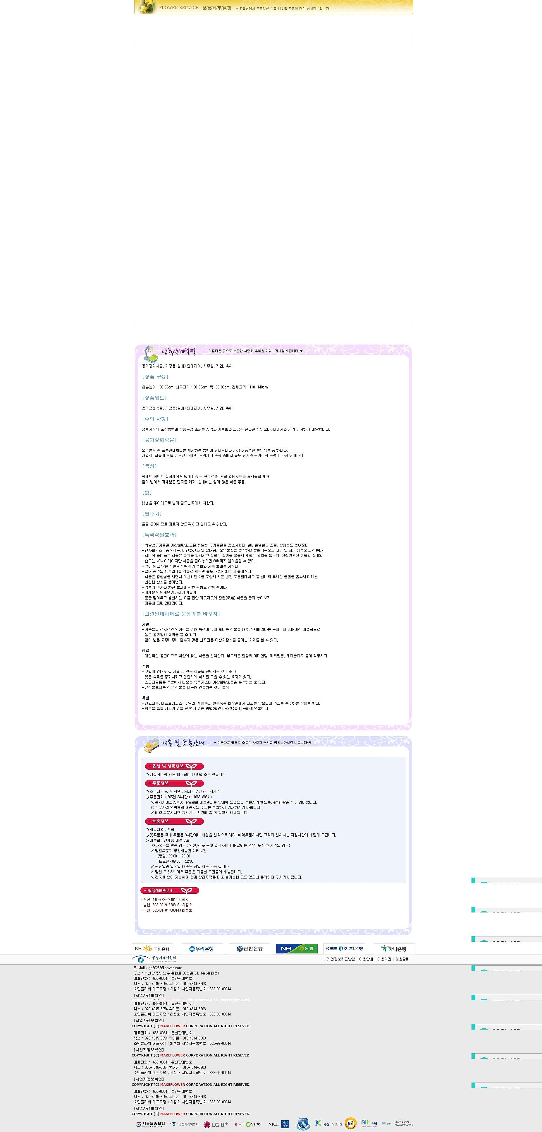 고무나무 사기분_상세페이지