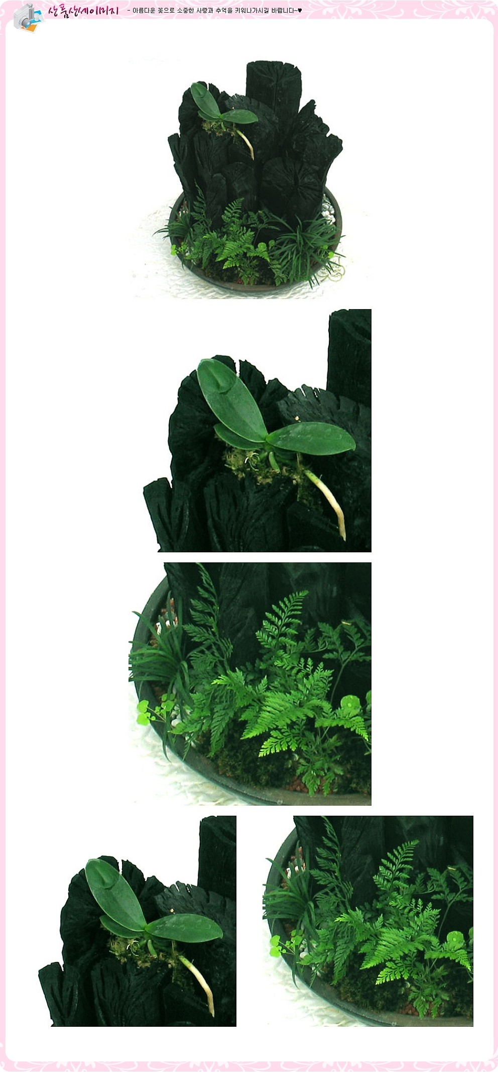 숯부작_상세페이지