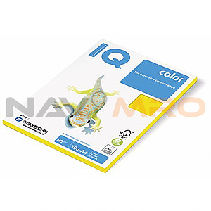 IQ 칼라용지 (A4/80g)