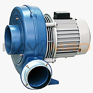 K04508636