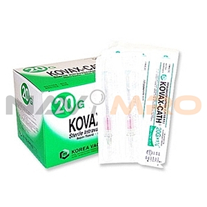 K07418246