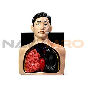 직접 흡연 시연기 (프리맨)
