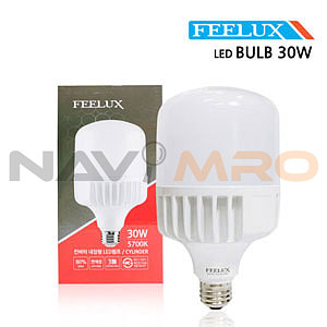LED 벌브 램프(30W)