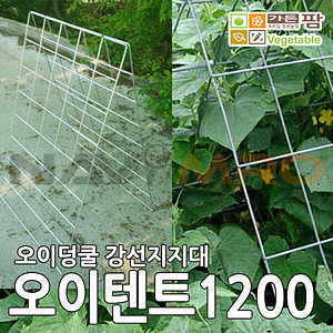 오이텐트 작물지지대