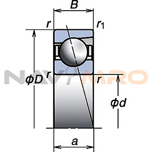 K14978022
