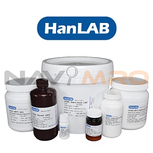 Albumin bovine, fraction V (BSA)