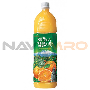 제주사랑 감귤사랑