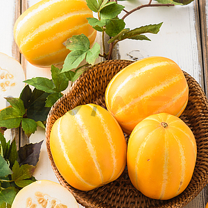 성주 참외 5kg