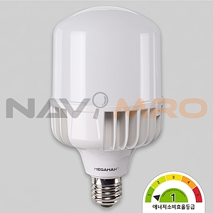 LED 빔벌브 램프 (60W, E39)