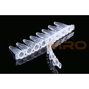 8- Strip PCR 튜브