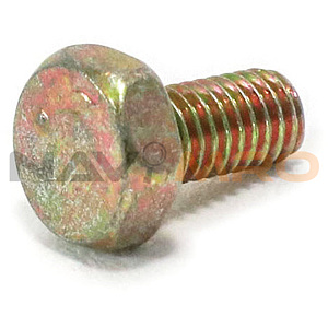 K53533334
