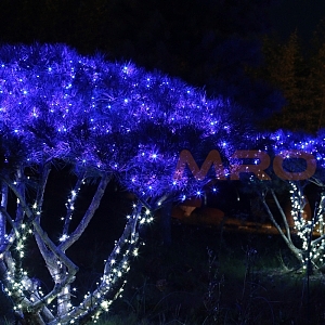 녹색선 LED 지니전구 (150~500cm 트리용/100구)