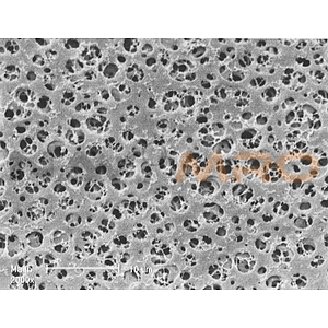 CA Membrane (11105-25-N)