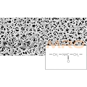 Polyamide 멤브레인 필터 (25006-13-N)