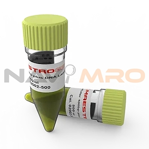 AccuRuler 100bp Plus DNA 레더