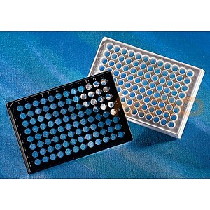 Costar 96 well Clear V Bottom PLystryrene Micropate, with Generic Barcodes, without Lid, Non Sterile (3897BC)