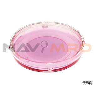 현미수정용 IVF 유리바닥 배양접시