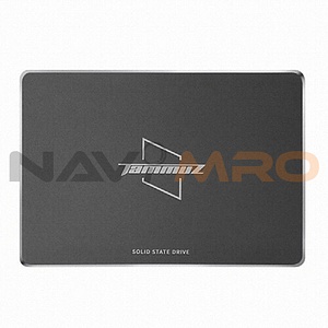 GK300 SATA (64GB TLC)
