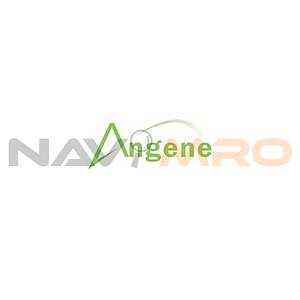 Propyl-PEG4-NHS