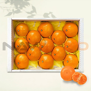 제주애귤 서귀포직송 천혜향 선물세트 (2kg/8-12과)