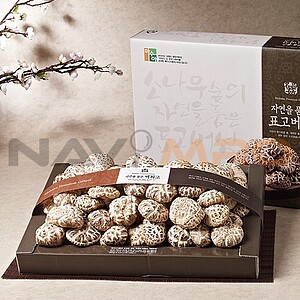 산애진송 자연을품은 백화고세트 500g