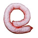 유흡착재 (OTB200 10kg)