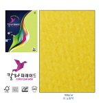 칼라퍼레이드 (A4/160g)