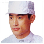 크린룸용 방진모