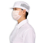 방진모 (C-1)