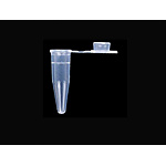 PCR 튜브 (Cap/0.5㎖)