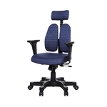 고급 사무용 의자 (DT-2500G)