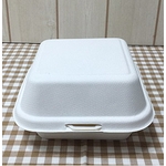 펄프 용기 (B-003호)