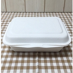 펄프 용기 (B-004호)