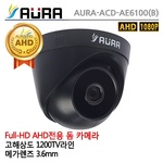 돔 카메라 (ACD-AE6100 B)