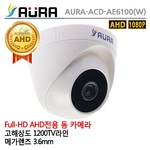 돔 카메라 (ACD-AE6100 W)