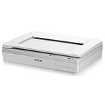 평판 스캐너 (DS-50000)