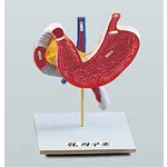 위 구조 모형 (KSIC-6279)