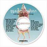 소화기, 순환계, 감각계, 비뇨기계 표본 19종 CD (KSIC-6067)